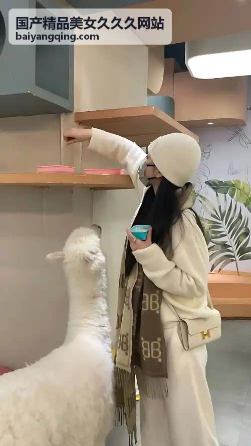 天天狠天天透天干天天怕：在恐惧与疲惫中寻找出路 - 国产精品美女久久久网站
